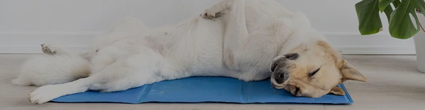 Pet Cooling Mat 01