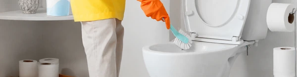 Toilet Cleaning Powder 01